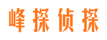 台前寻人公司